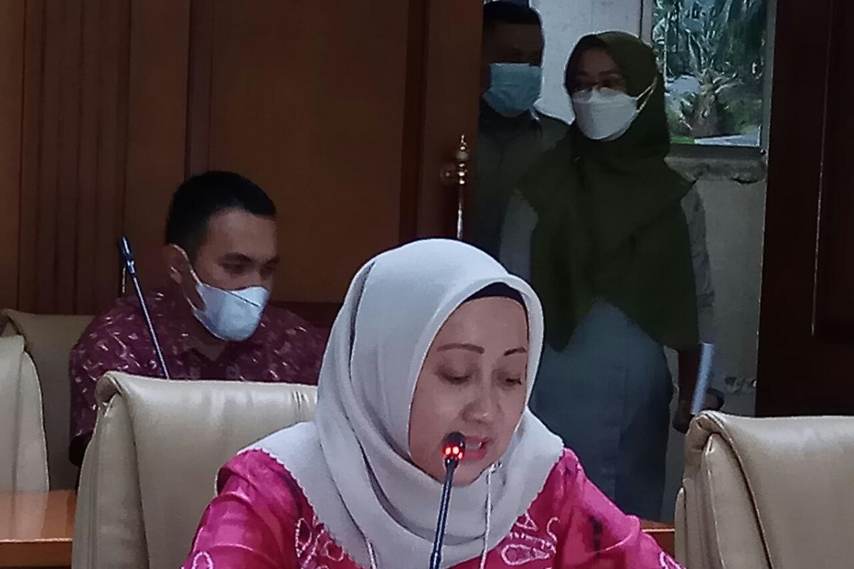 DPRD Kalsel konsultasikan pembentukan UPT Alat Mesin Pertanian dengan Kementan