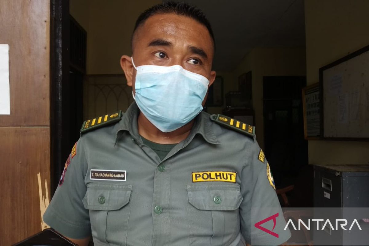 BKSDA Serang terima Lutung Jawa dan tiga ekor ular