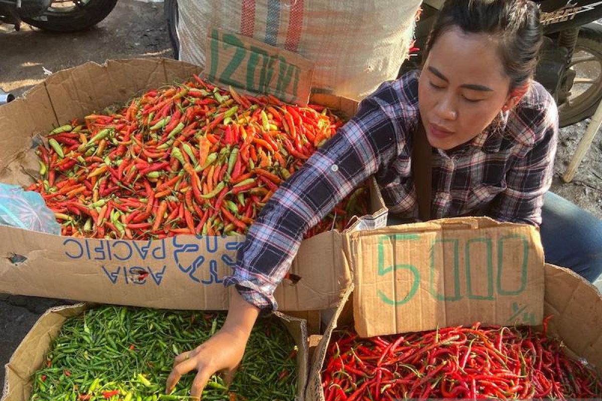 Harga sayuran di Palembang bergerak naik pengaruh cuaca