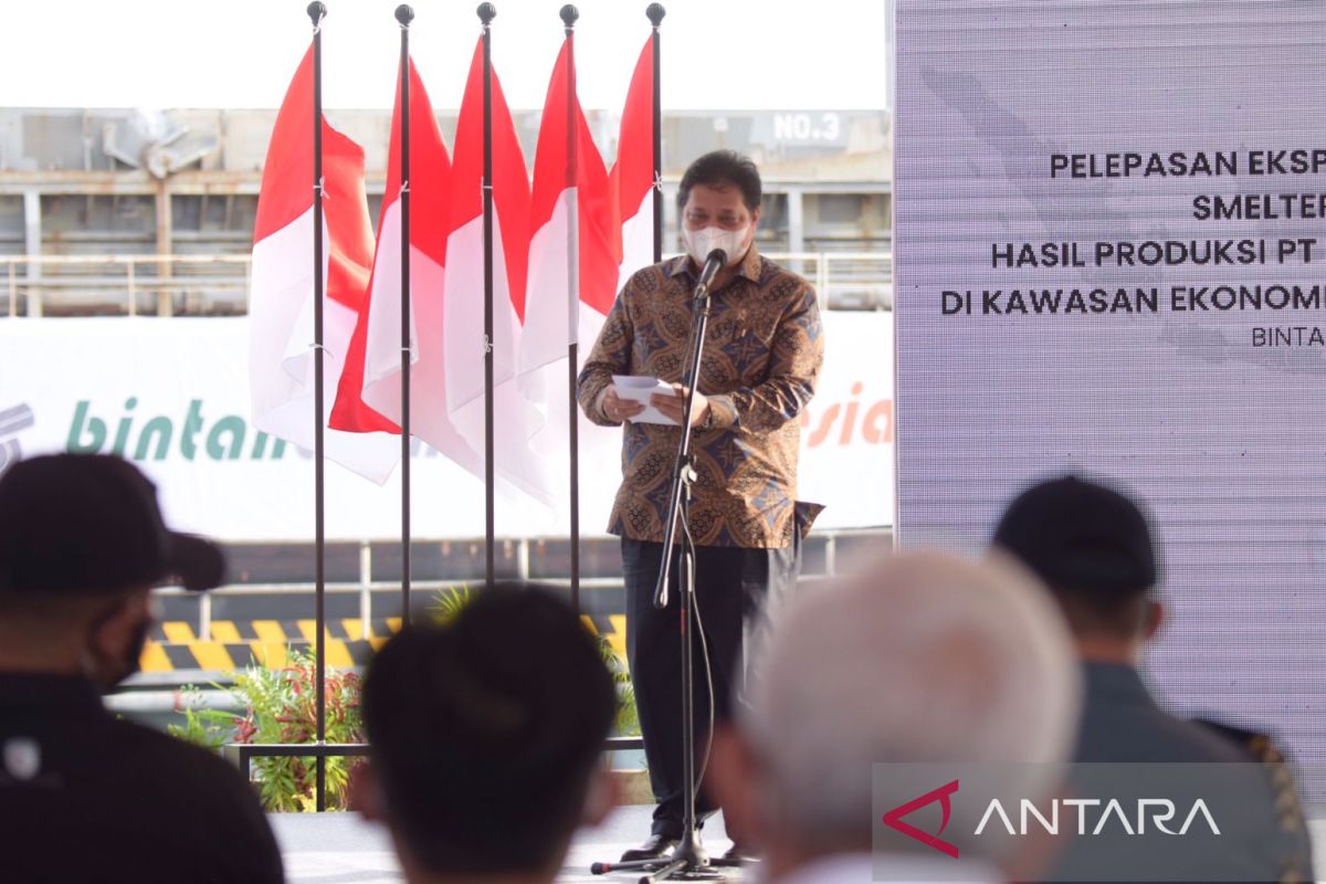 Airlangga: Smelter Grade Alumina percepat hilirisasi bauksit