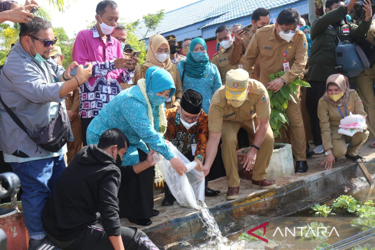 PKK Kalsel dorong penguatan kolaborasi cegah stunting