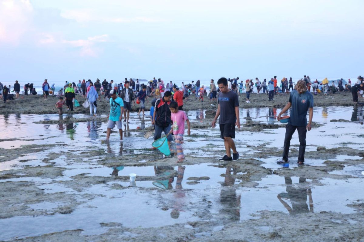 Festival Bau Nyale tetap terapkan protokol kesehatan COVID-19