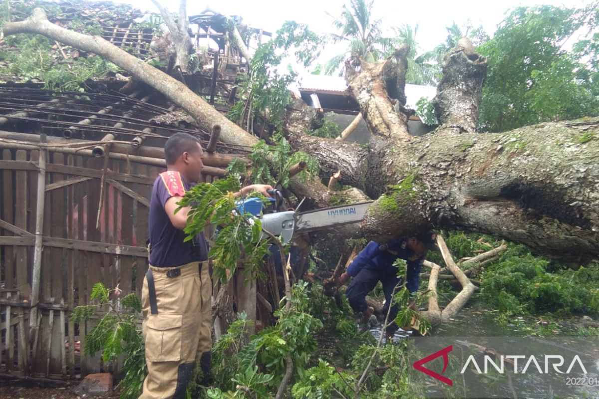 BPBD Kabupaten Tangerang evakuasi pohon tumbang yang menimpa rumah warga