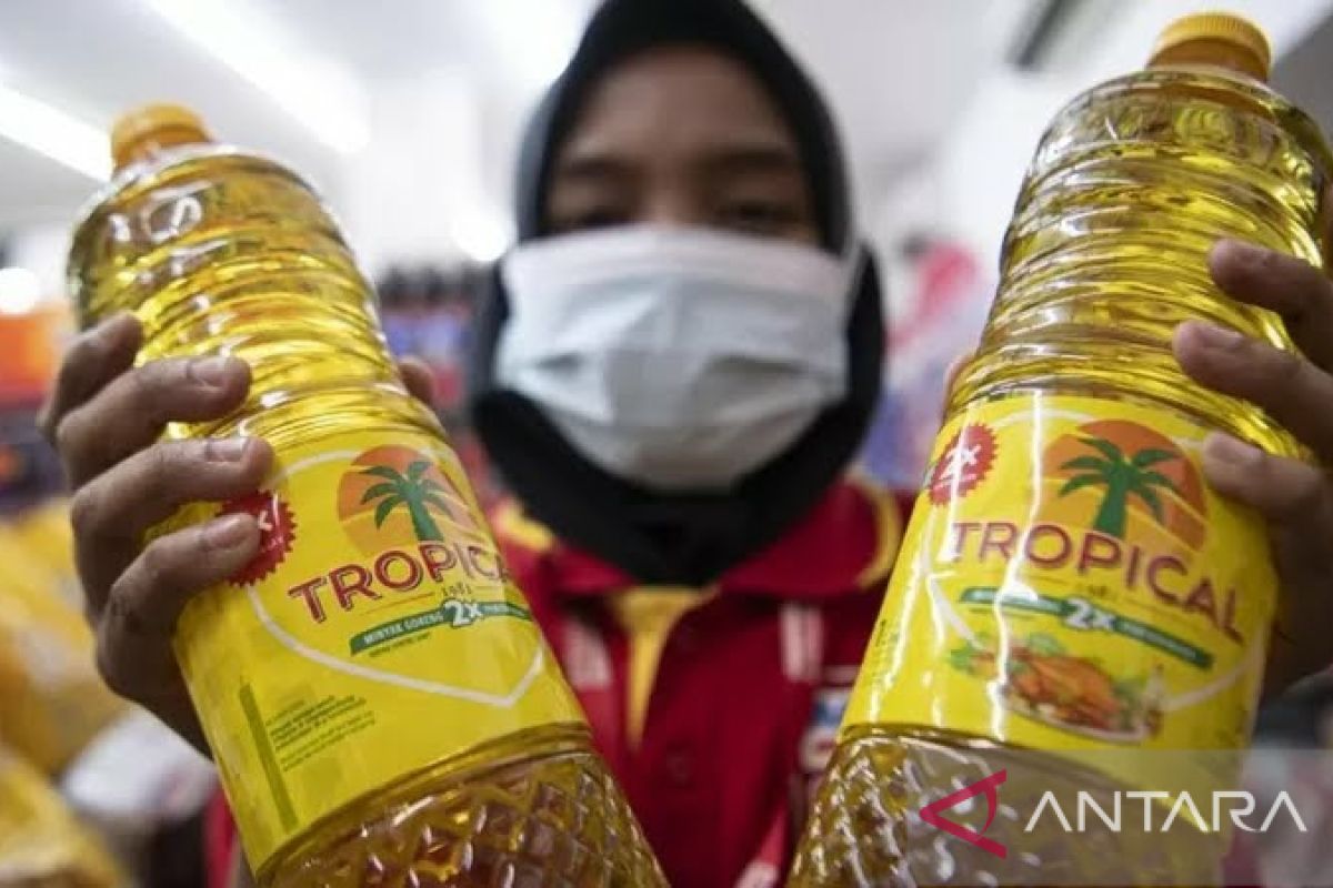 Bulog  pantau ketersediaan stok minyak goreng di Sulteng