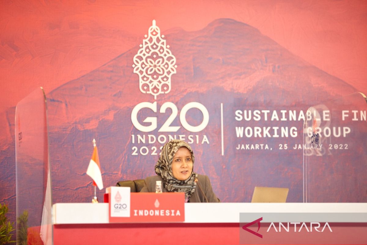 Presidensi G20 Indonesia dorong kerangka kerja untuk keuangan transisi