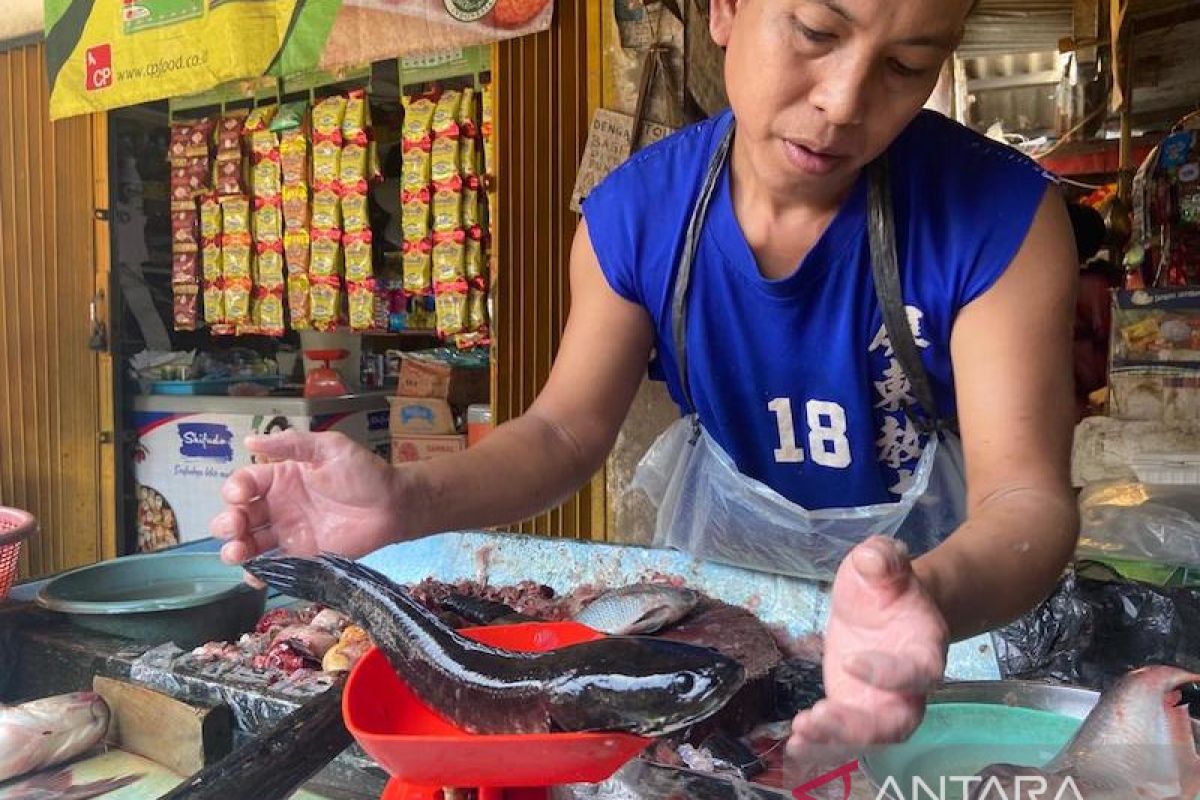 Harga ikan di Palembang naik pengaruh cuaca musim hujan