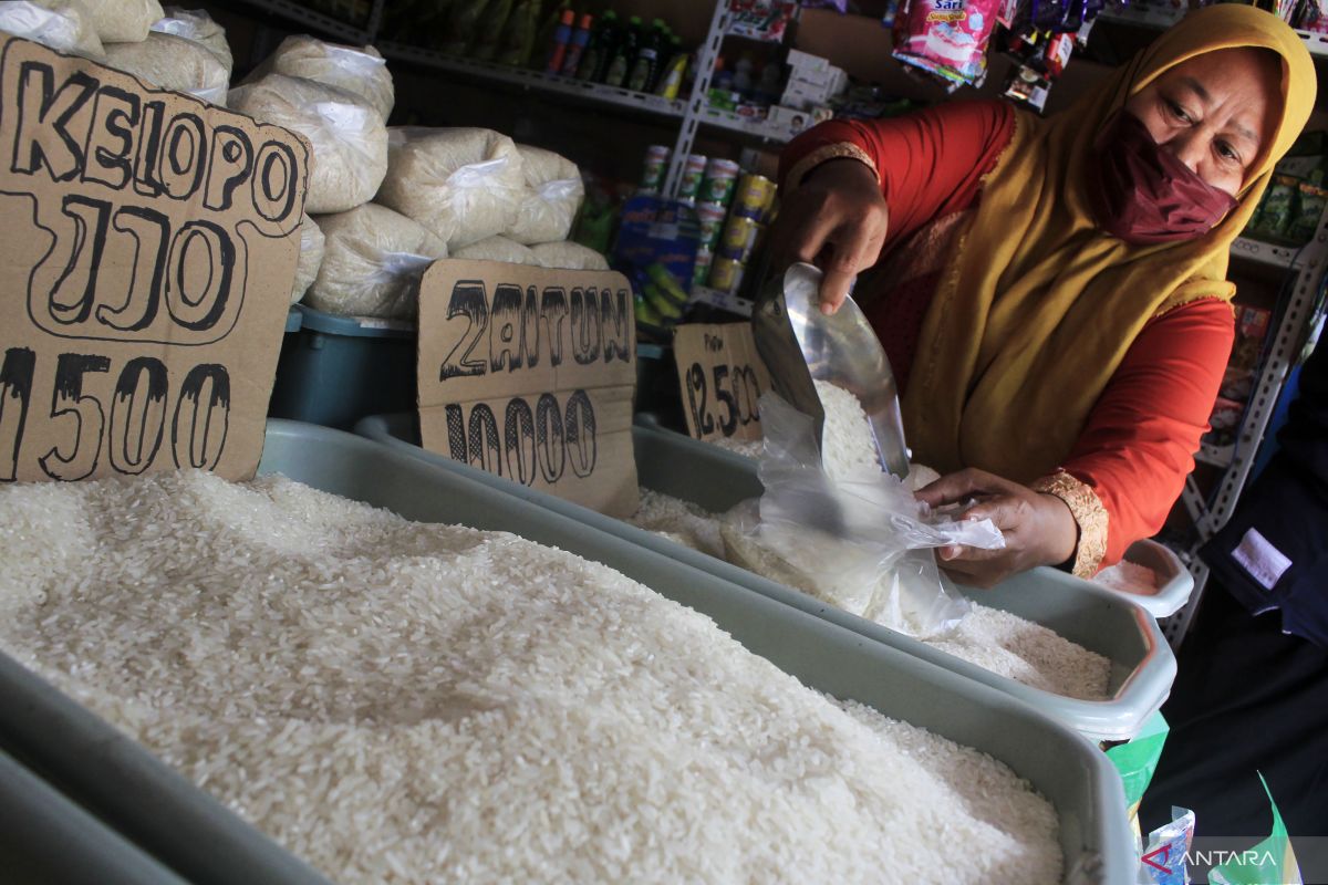 Pataka sebut kenaikan harga beras disebabkan multifaktor