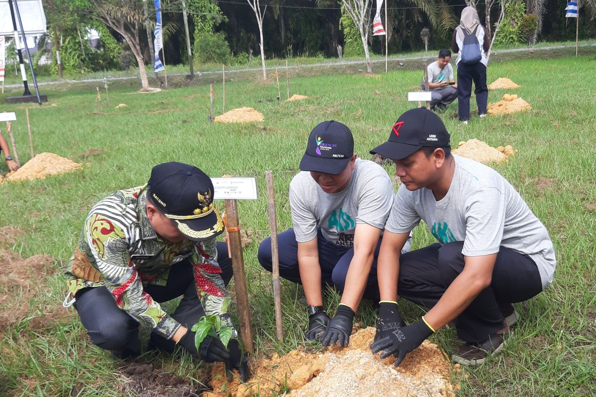 Satono apresiasi Aksi Menanam ANTARA hijaukan beranda negeri