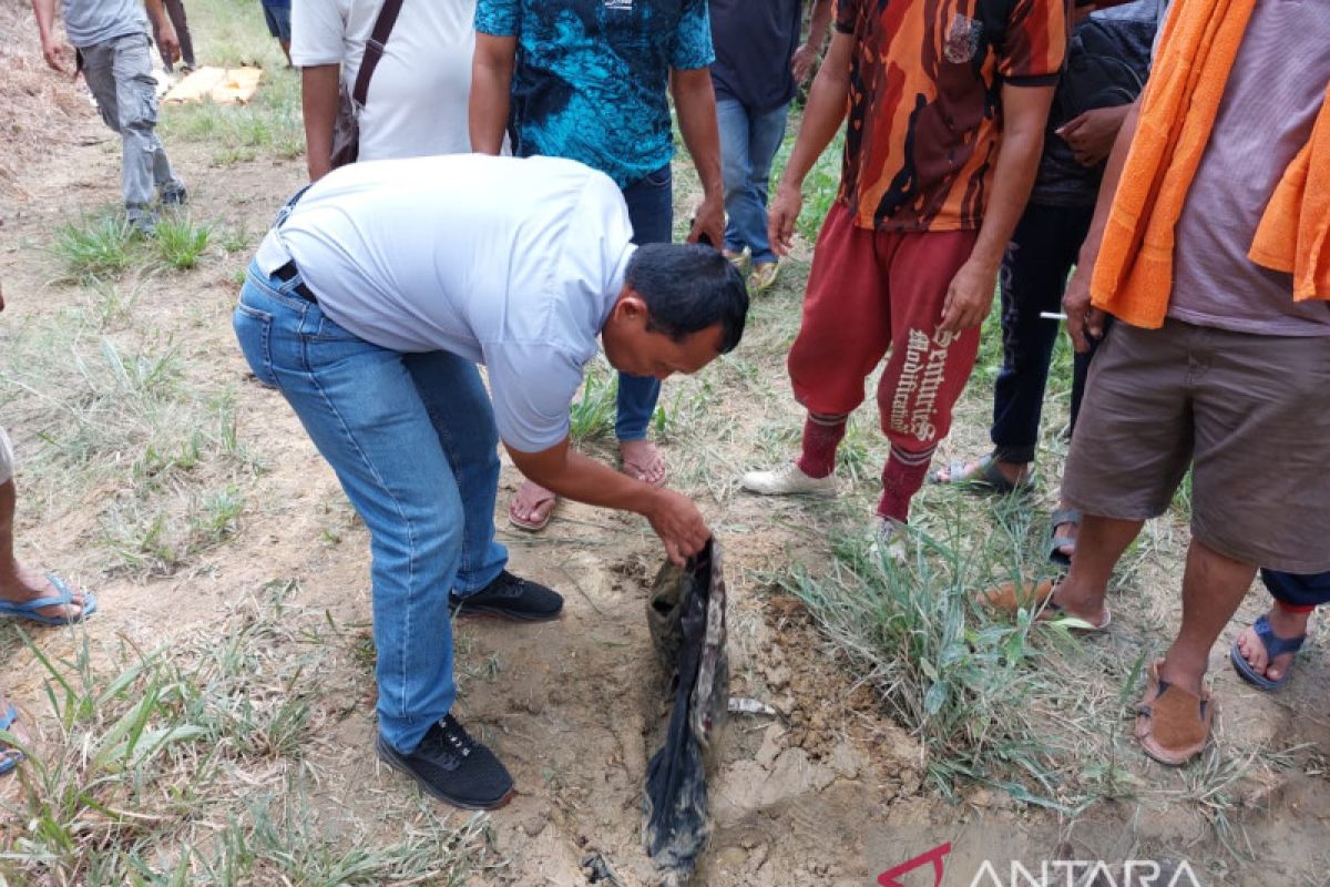 Seorang pria paruh baya dilaporkan tewas terinjak gajah di Tahura Minas