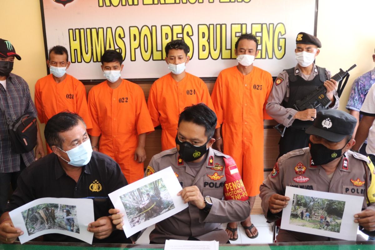 Polisi Buleleng ungkap transaksi kayu ilegal