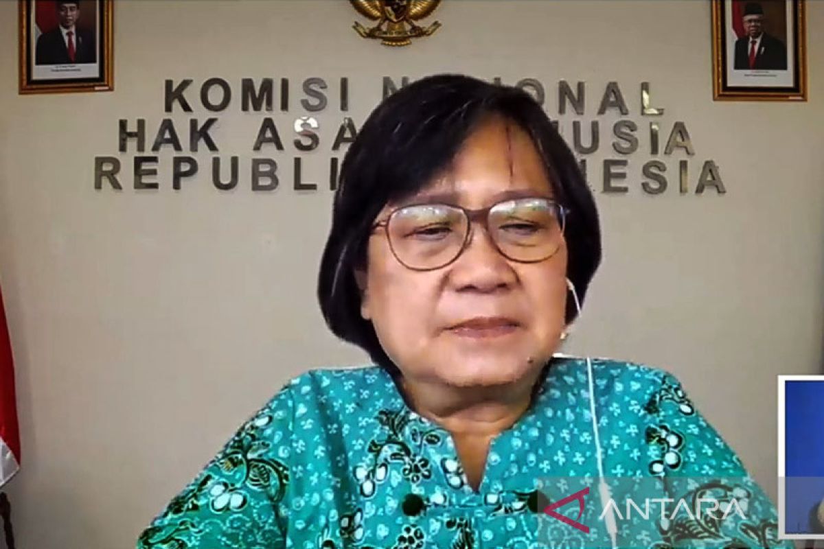 Komnas HAM: Kekosongan hukum jadi kendala perlindungan pembela HAM