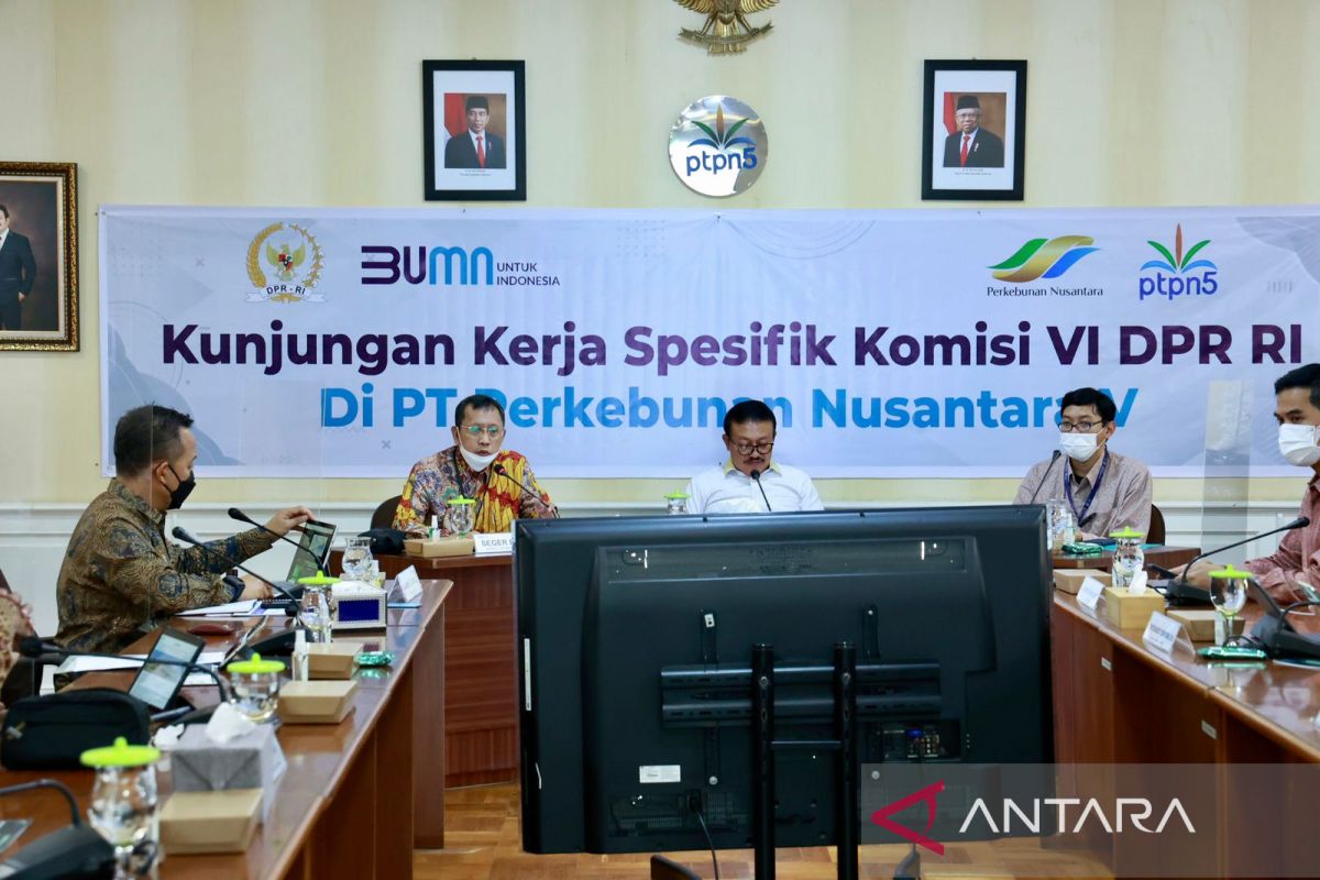 Komisi VI DPR apresiasi PTPN V dongkrak produktivitas sawit amankan pasokan minyak goreng