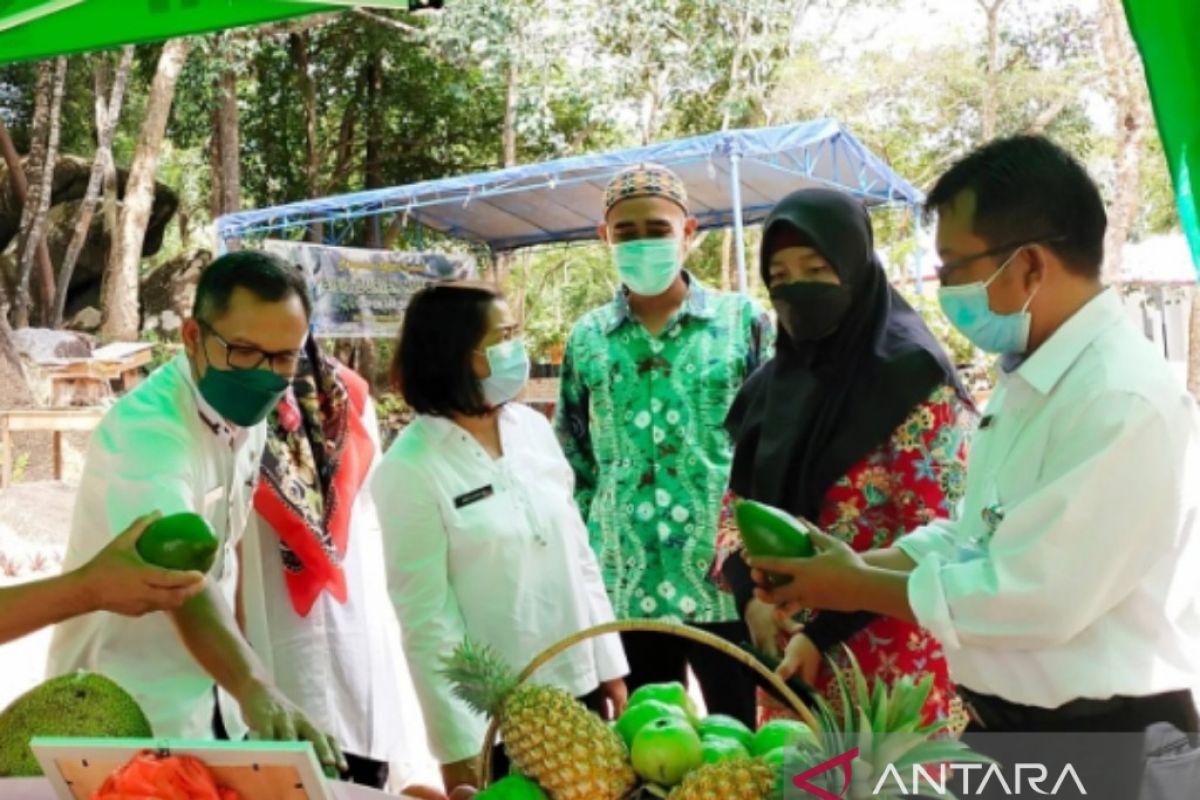 Pemkab Bangka Barat rintis pembangunan kampung agrowisata di Mentok