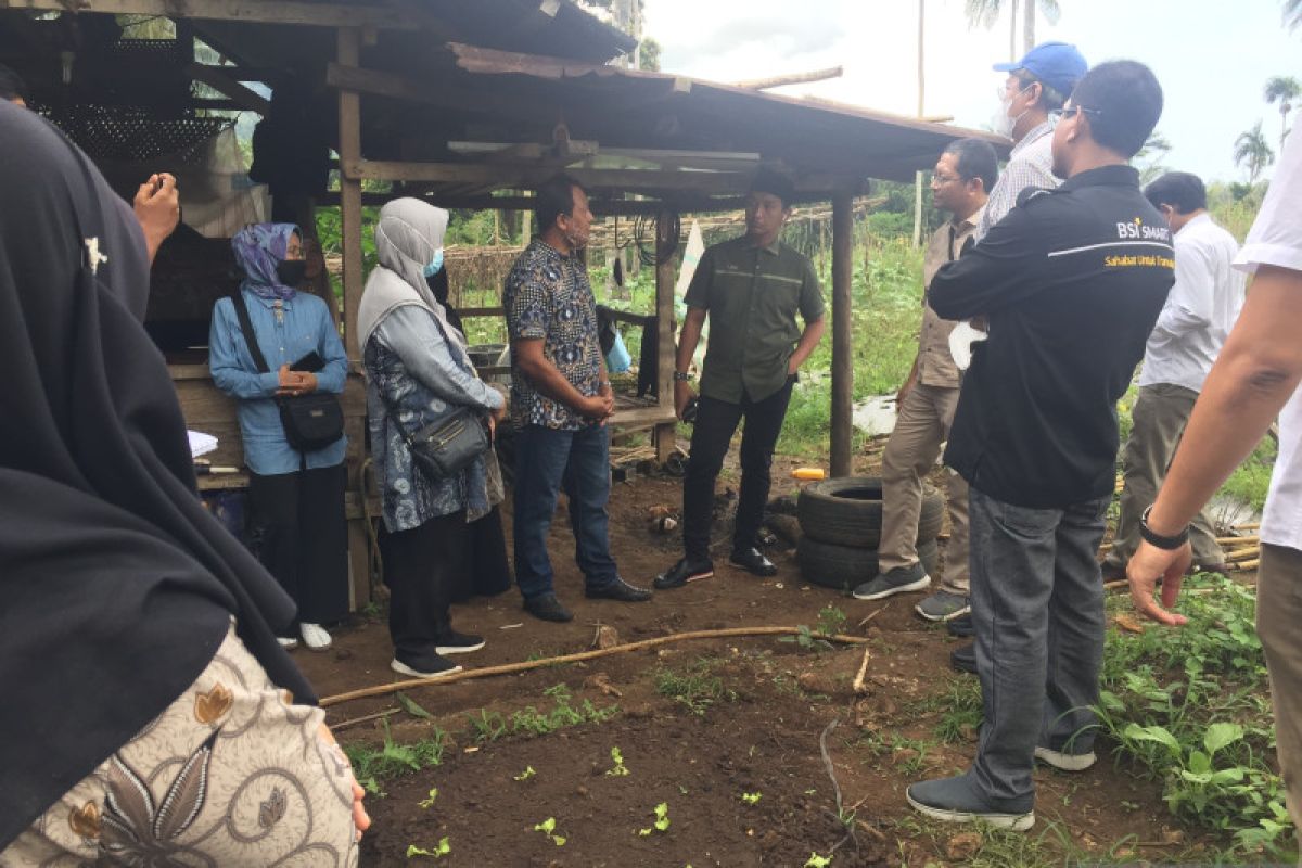 BSI bertekad majukan ekonomi petani di Aceh