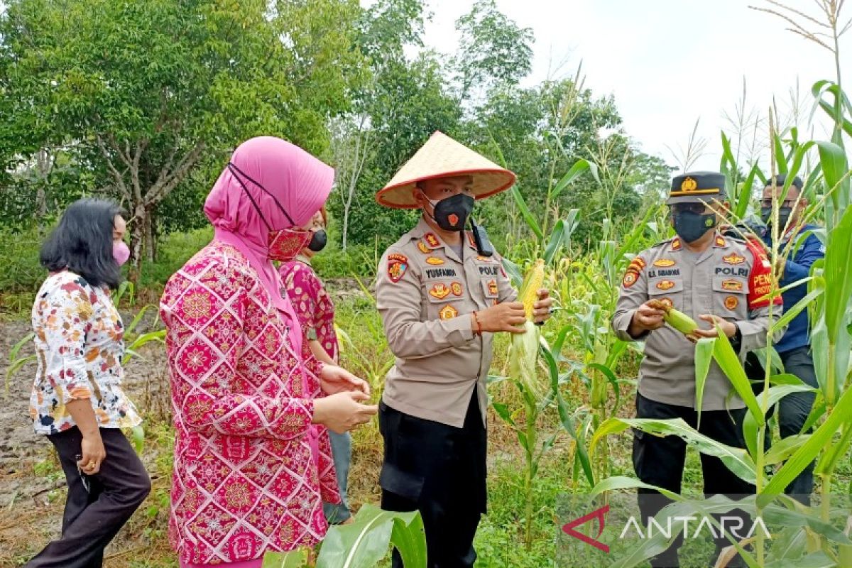 Kampung Tangguh sebagai kesiapsiagaan hadapi pandemi