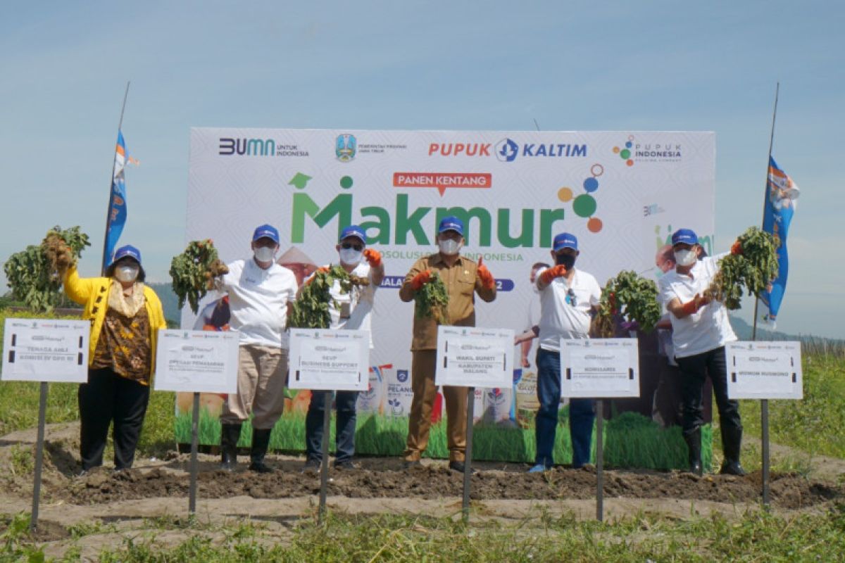 Program Makmur PKT tingkatkan produktivitas kentang 125 persen