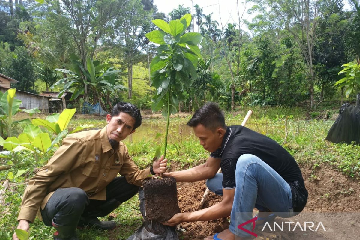 Jejak Bumi Indonesia OKU Sumsel canangkan Program Bumi Hijau