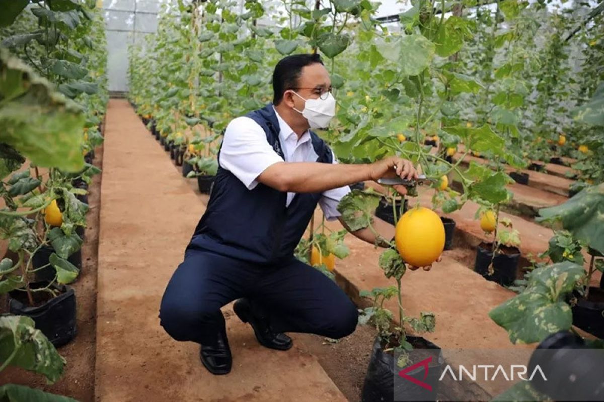 Anies nilai Agrowisata Cilangkap miliki potensi wisata dan pendidikan