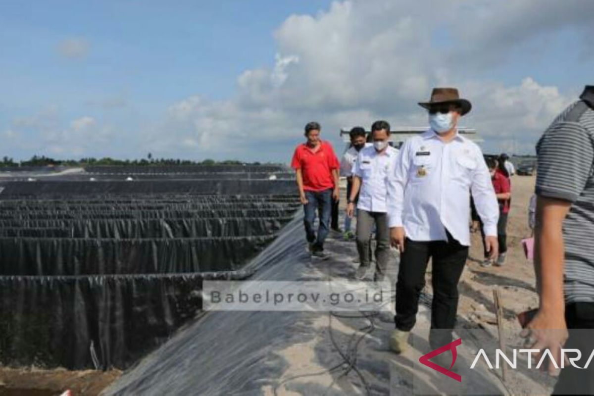 Gubernur kunjungi tambak udang Pesaren, wujudkan standarisasi pengelolaan IPAL