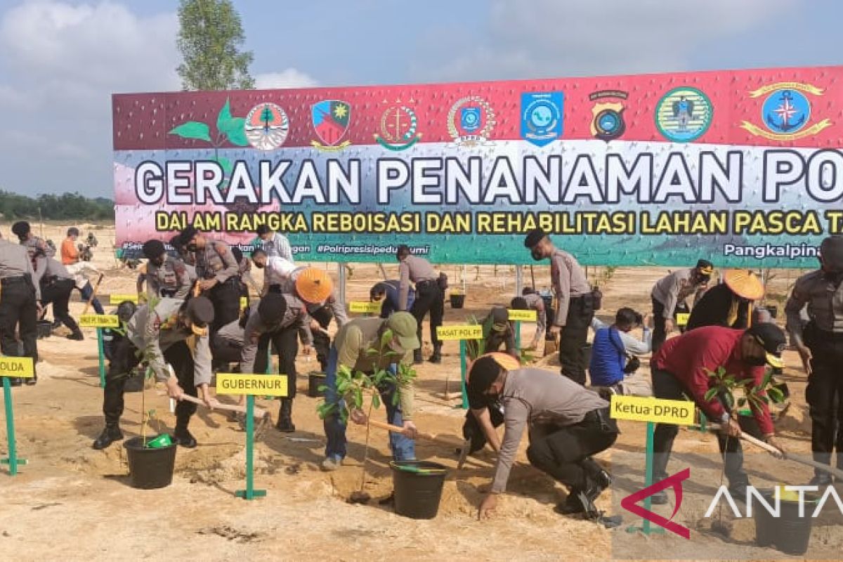 Polda Babel tanam 7.410 pohon di lahan bekas tambang