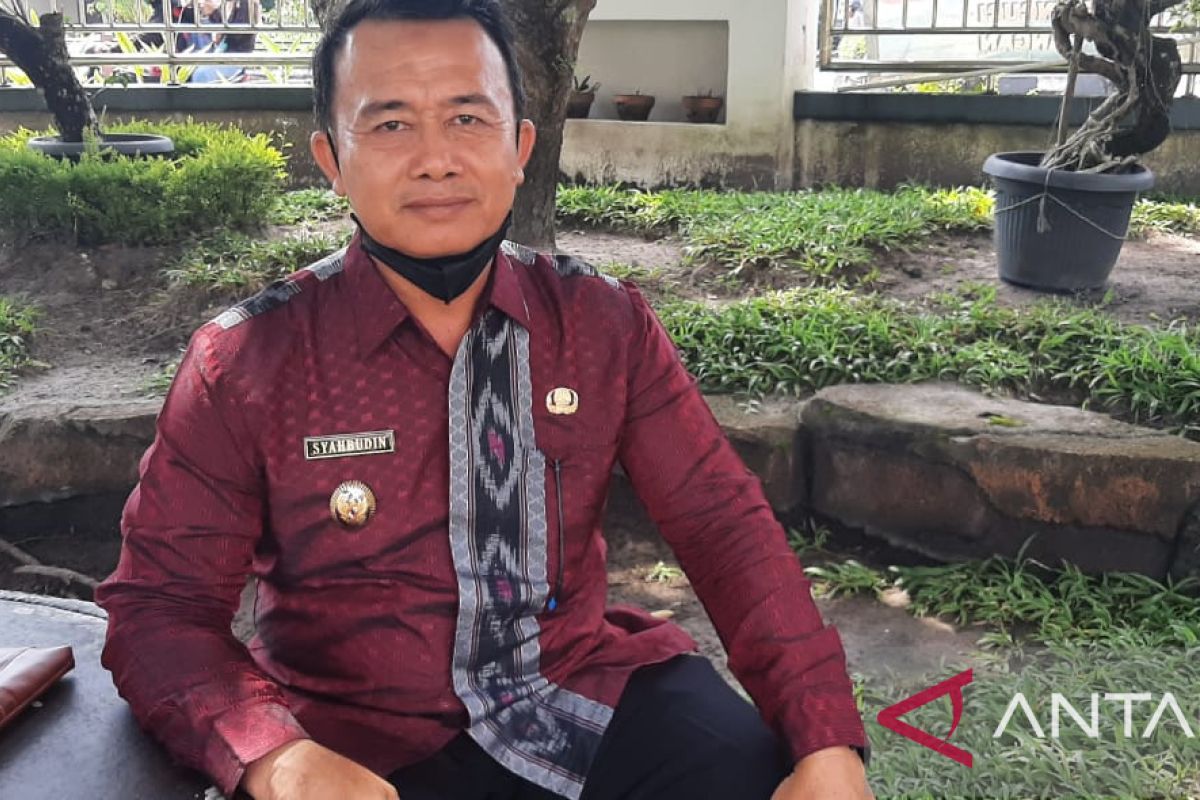 Wakil Bupati Bangka dorong masyarakat kembangkan integrasi sapi-sawit