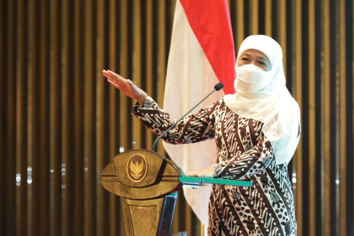 Khofifah ingatkan bupati/wali kota kendalikan kasus DBD