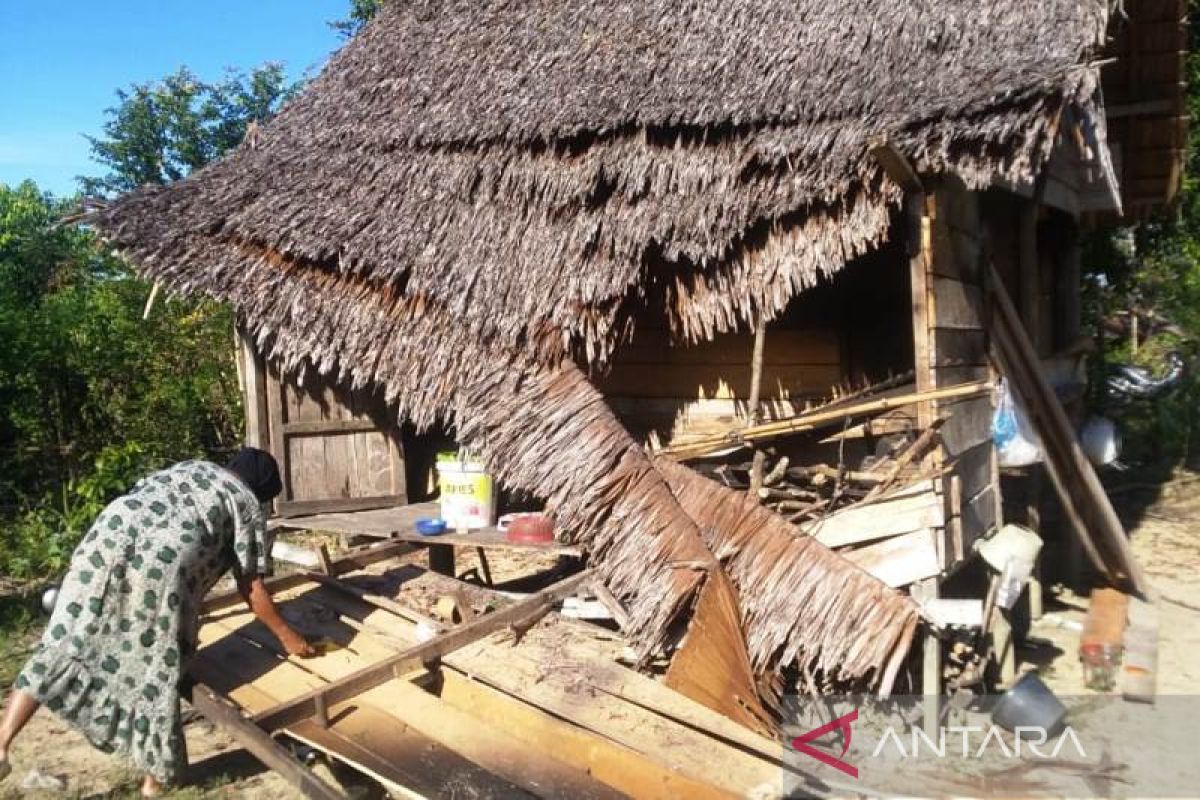 Seekor gajah liar merusak rumah warga di Nagan Raya