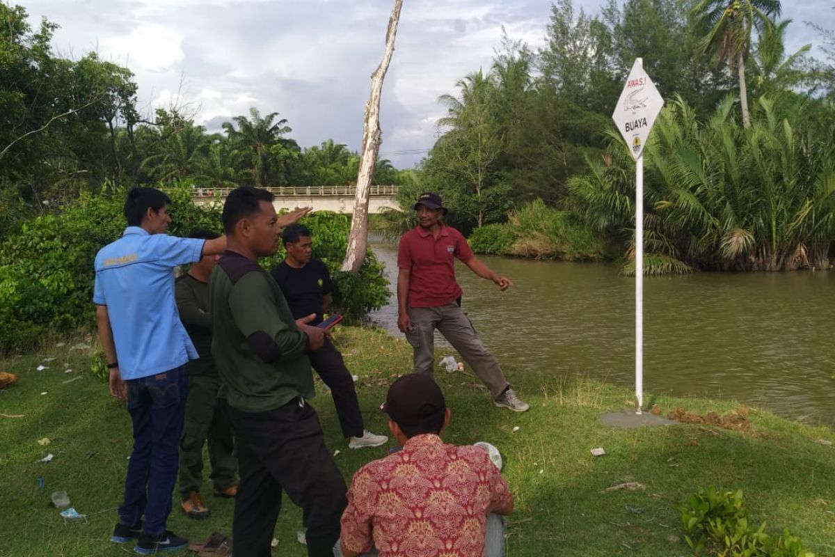 BKSDA minta warga Bengkulu tidak membunuh buaya yang muncul di sungai