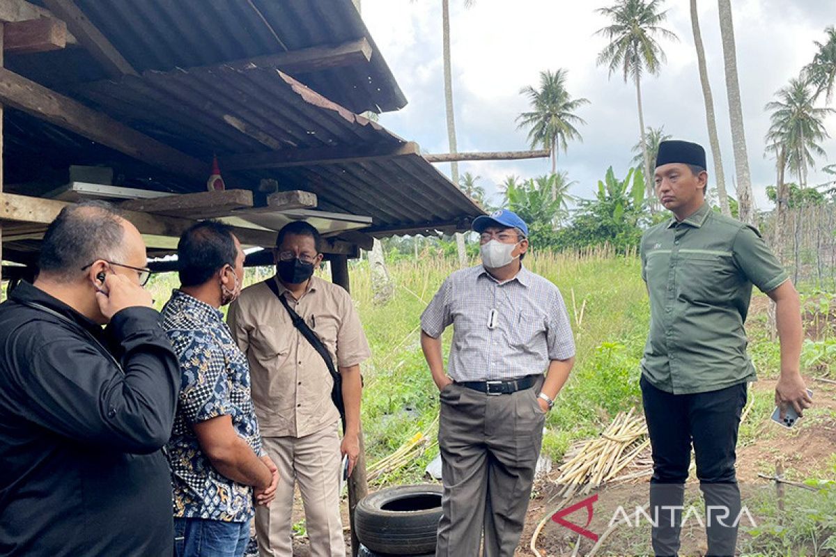 KSP dorong penguatan sosialisasi dan literasi KUR di daerah