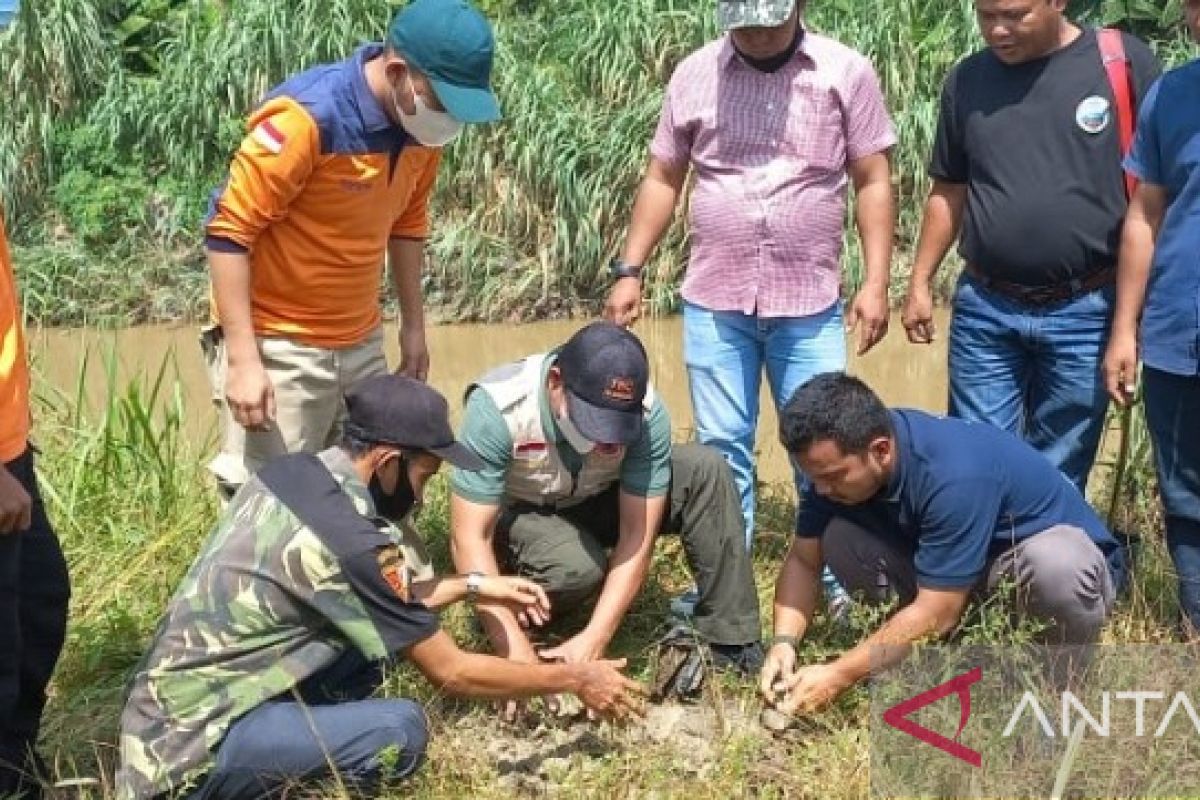 NNB Tapsel tanam bambu dan akar wangi di aliran sungai antisipasi erosi