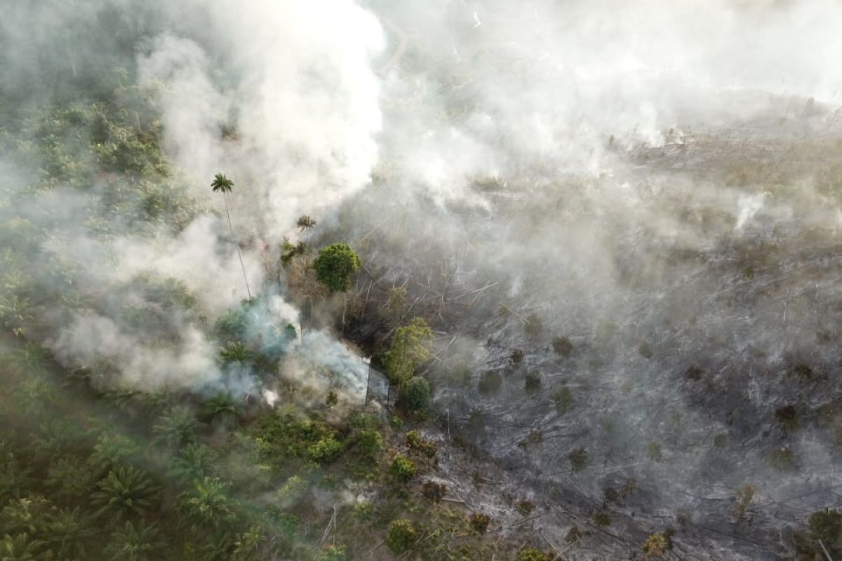 BPBK Aceh Jaya; Warga jangan membakar lahan saat kemarau