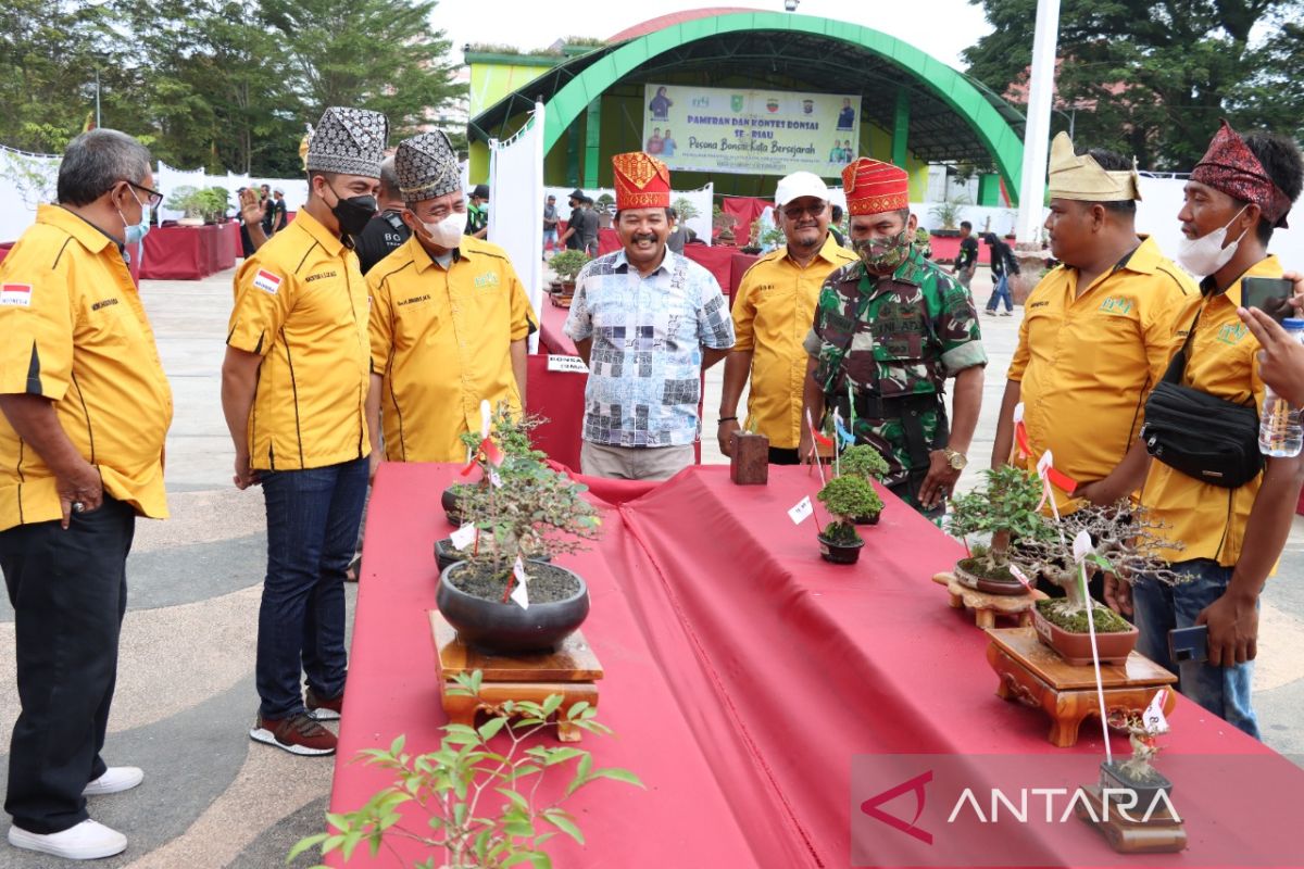 Pameran 548 bonsai sukses digelar di Inhu