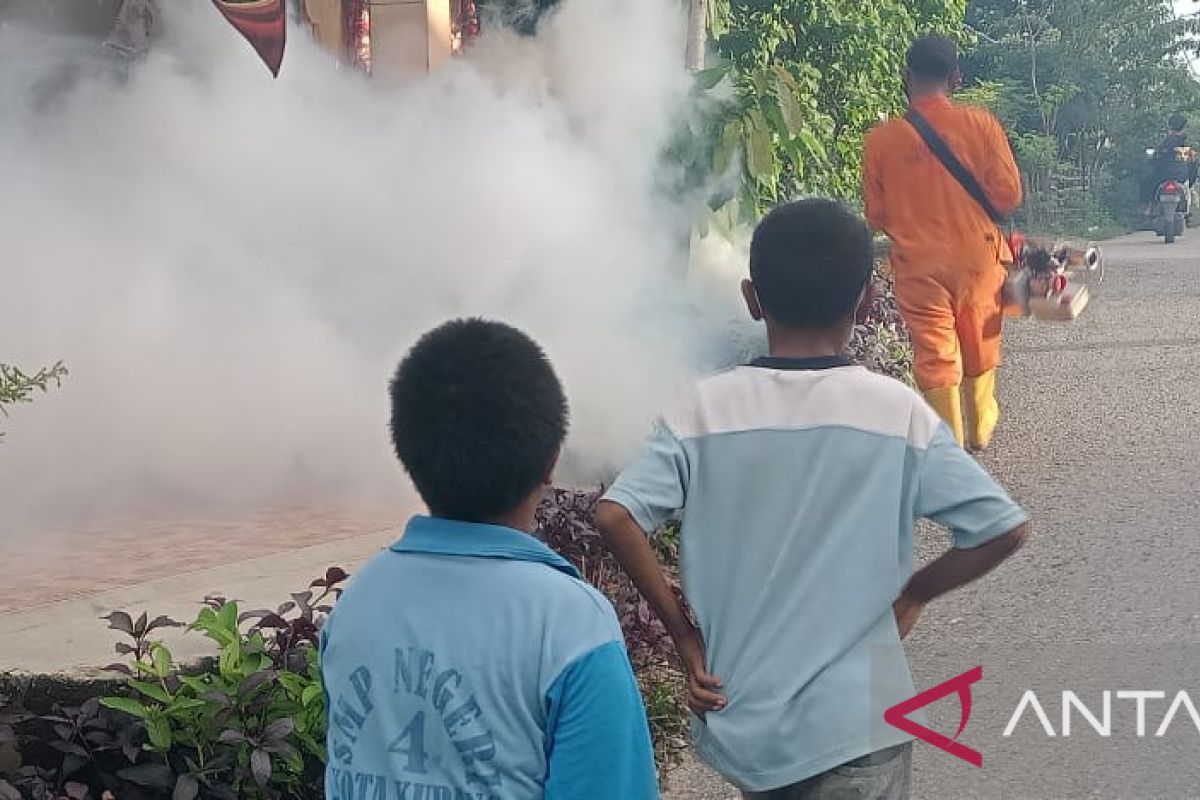 Puluhan anak di kota Kupang terserang DBD