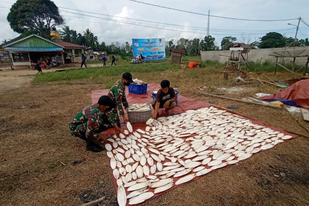 TNI assists local cuttlefish waste processing business in border