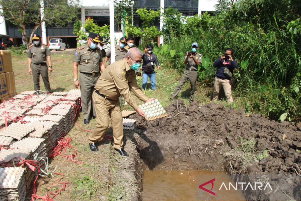 38.880 telur ilegal asal Jawa Timur dimusnahkan