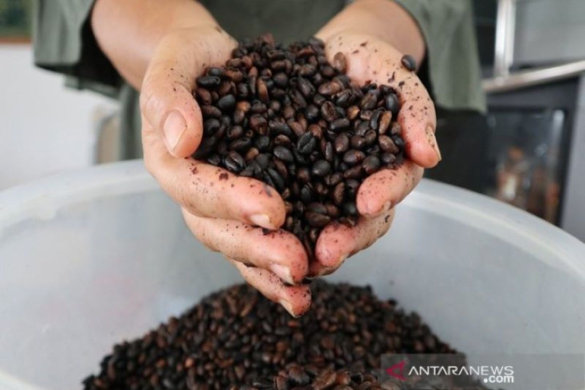 Perum Perhutani dukung pengembangan bisnis dan sistem kopi Indonesia