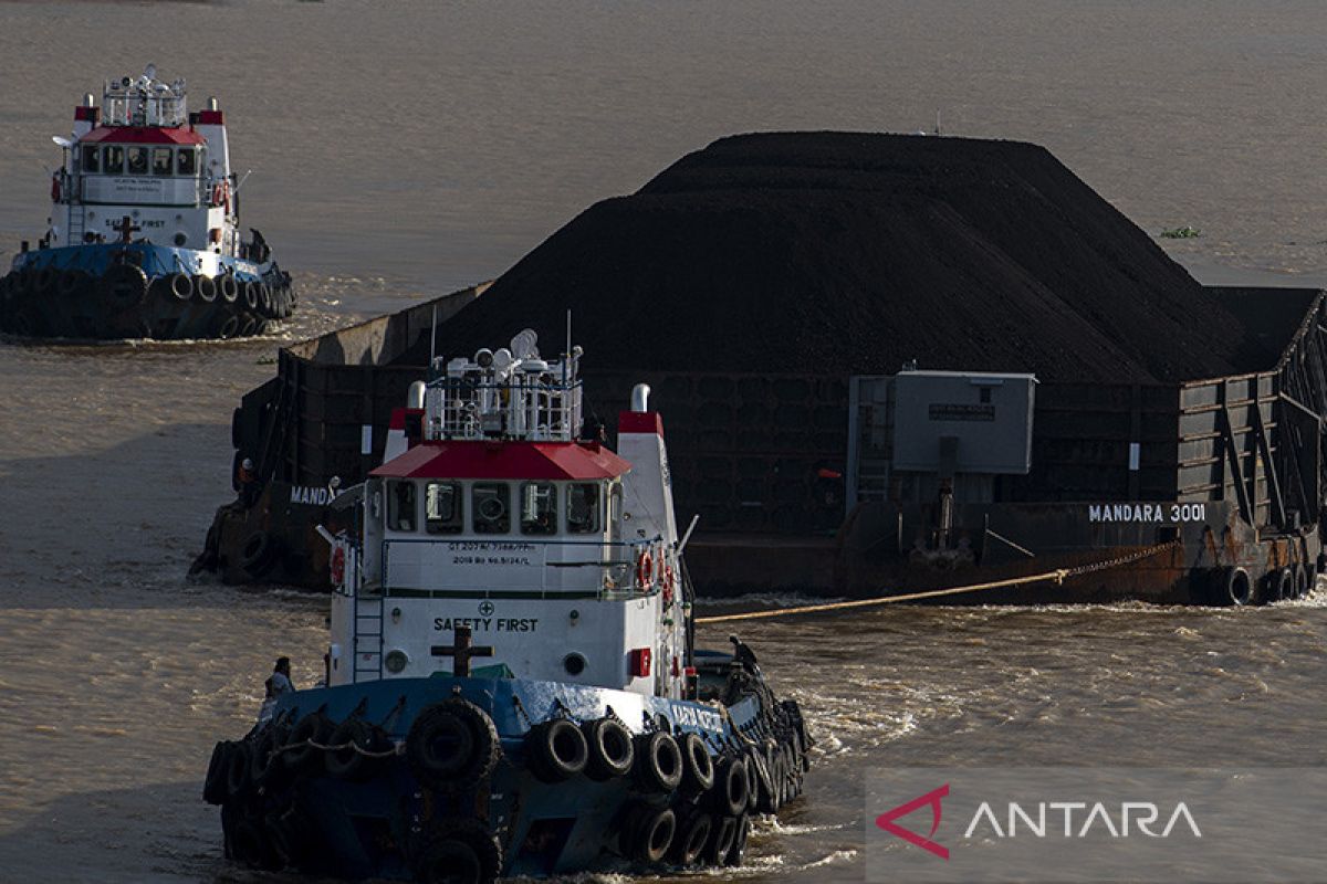 Government reopens coal exports after month-long ban