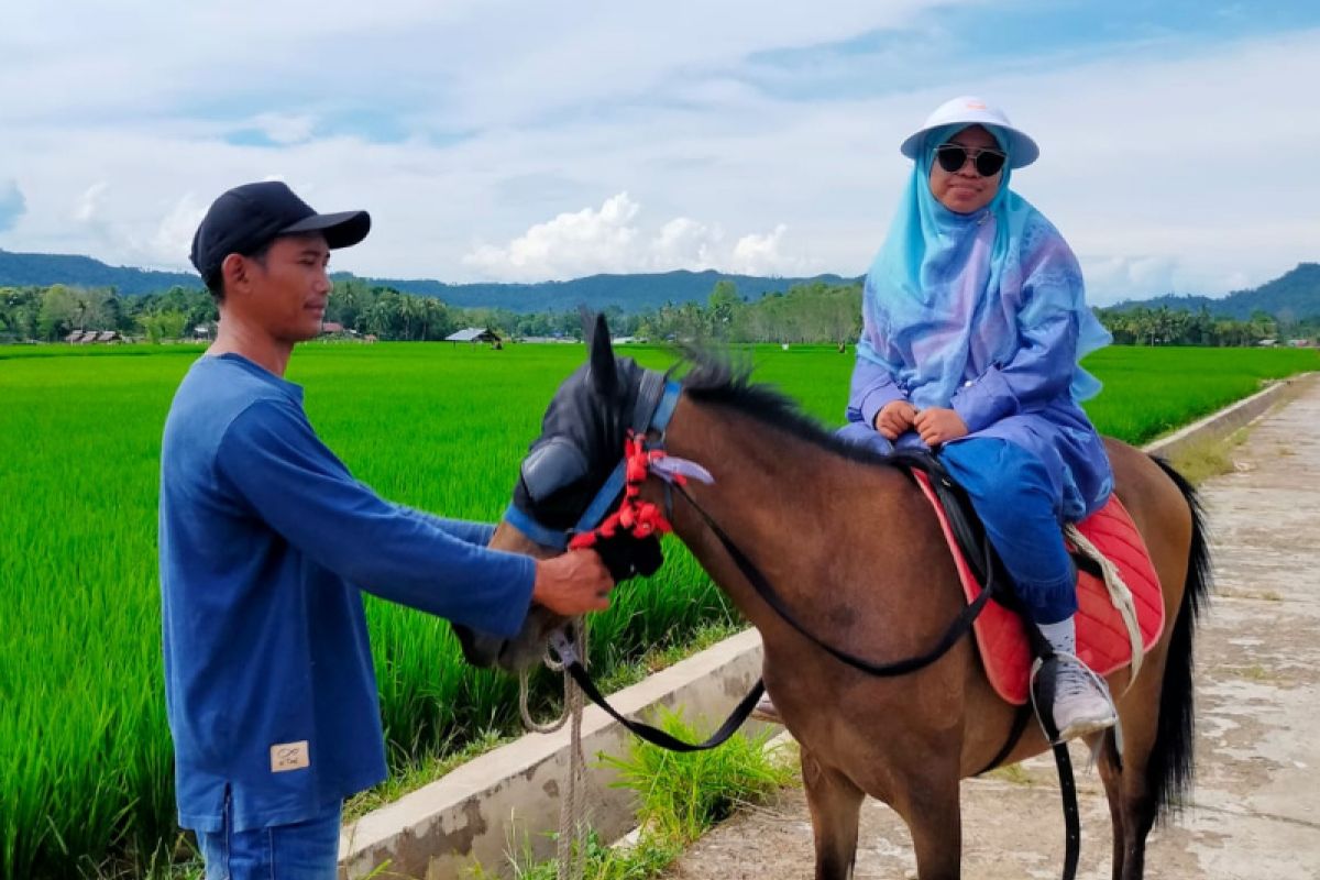 Nikmati sensasi berkuda di Jaro Kabupaten Tabalong