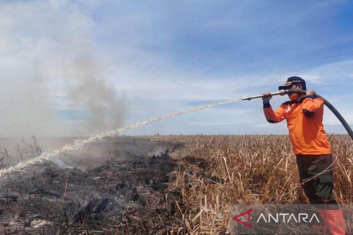 Puluhan hektare lahan di Riau terbakar