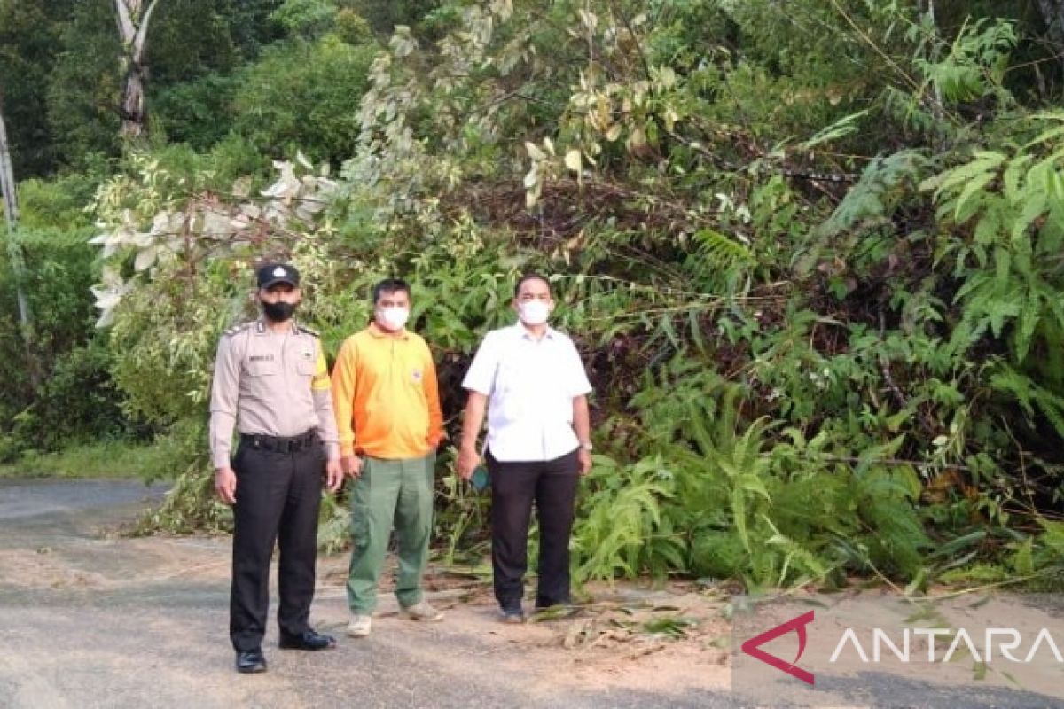 Longsor timbun separuh Jalan Provinsi, Bupati Tapsel perintahkan turunkan alat berat