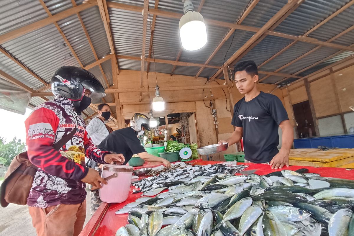 Harga ikan tuna di Gorontalo naik