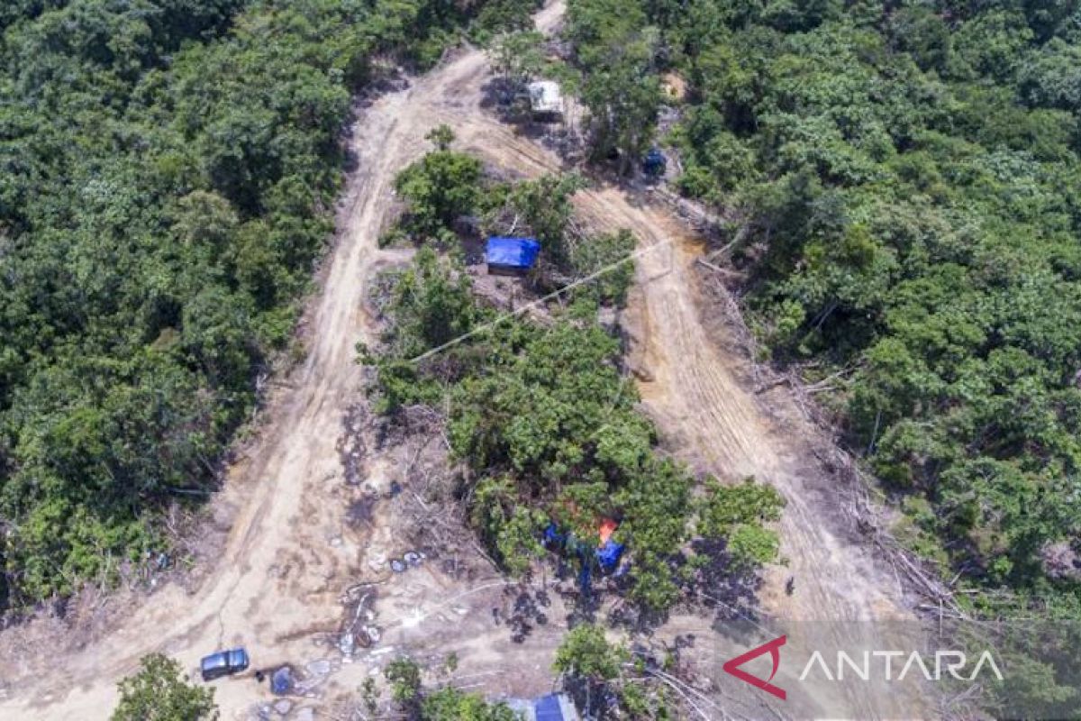 Indonesia dibantu Kanada jalankan program Land4Lives jaga hutan di Sumsel