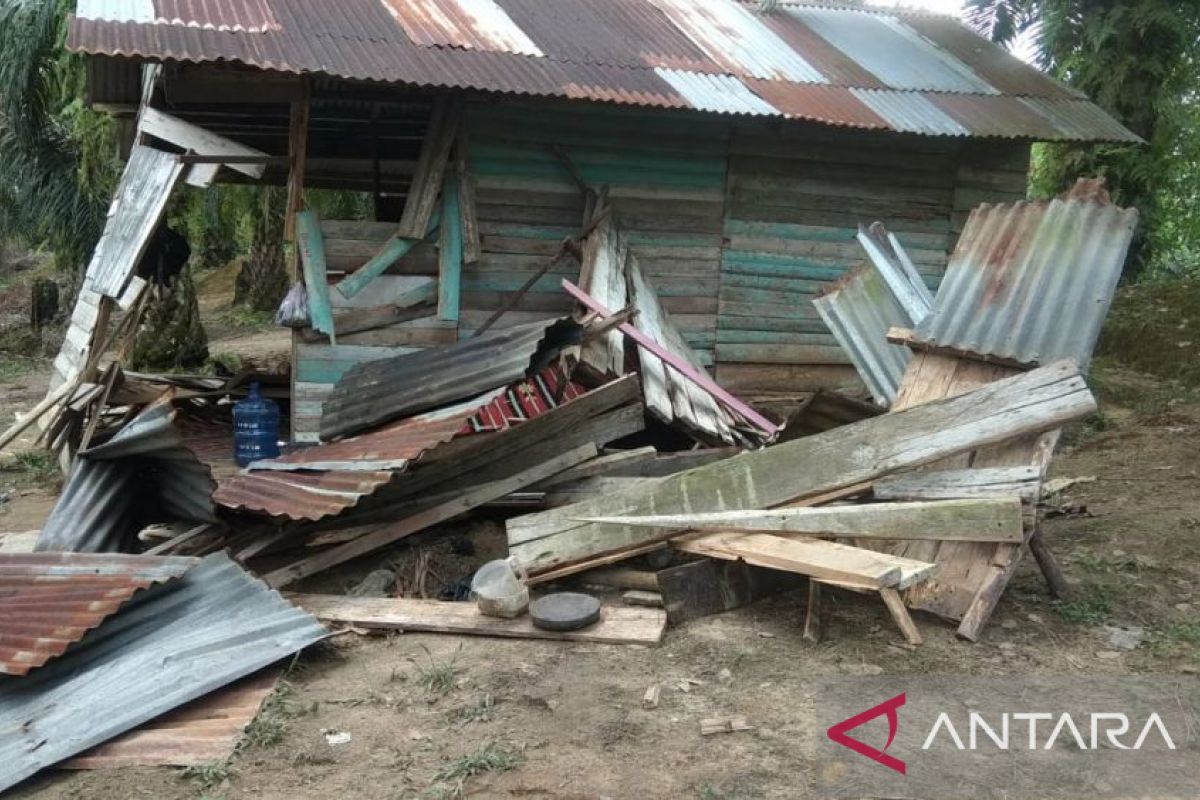 Tiga rumah warga Kampar di  rusak gajah liar