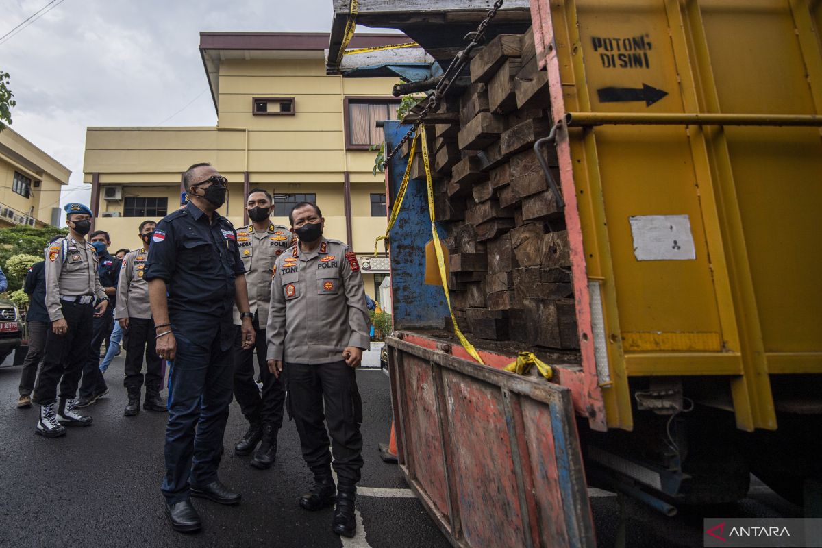 Angkut kayu ilegal, pria Tangse dibekuk Polisi