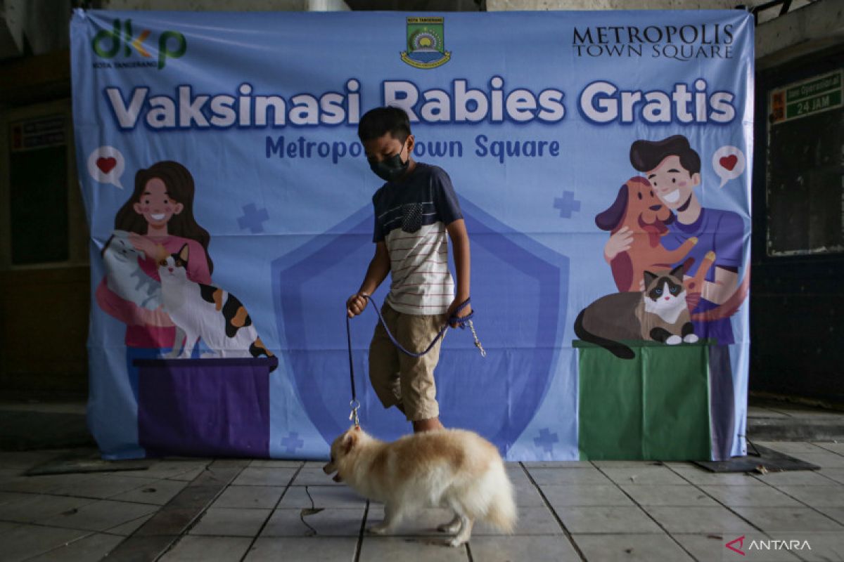 Yogyakarta menggelar vaksinasi rabies gratis targetkan 150 hewan