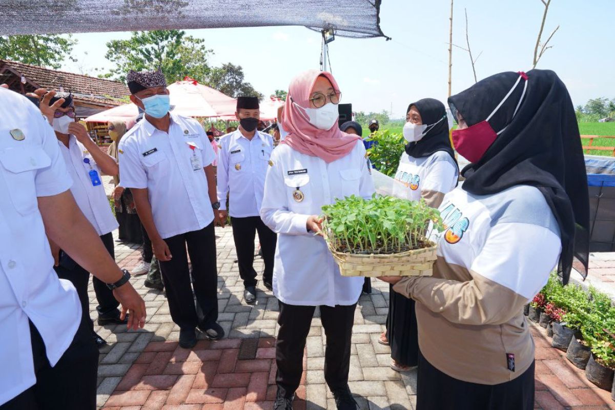 Pemkab Banyuwangi berdayakan kelompok wanita tani lewat program Sistersay