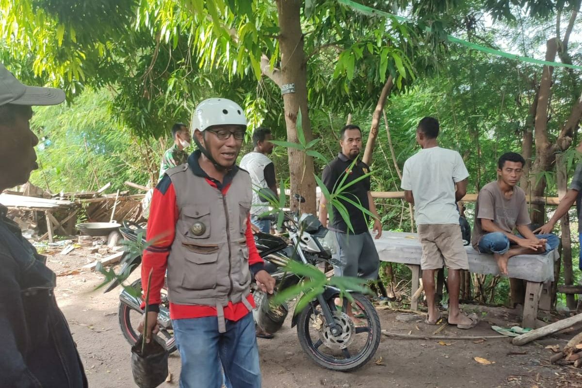 Masyarakat Mbay di Nagekeo tanam 600 anakan bambu di DAS Aesesa