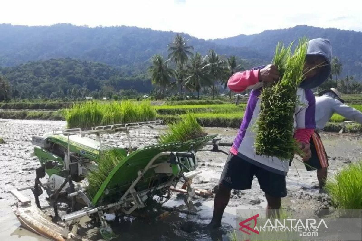 Pemkab Sigi sediakan sistem informasi khusus pertanian bagi petani