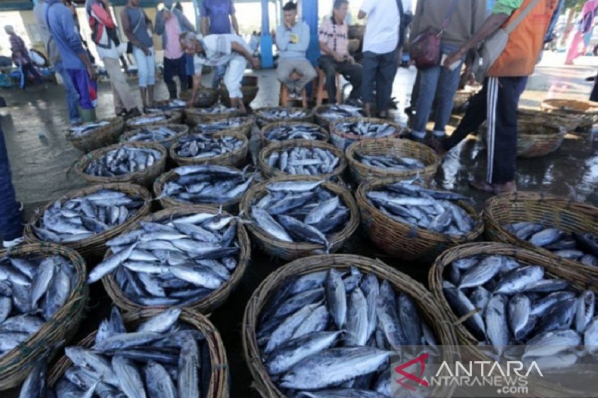 Dinas Perikanan Karawang kembangkan kampung pengolahan ikan pindang di Banyusari