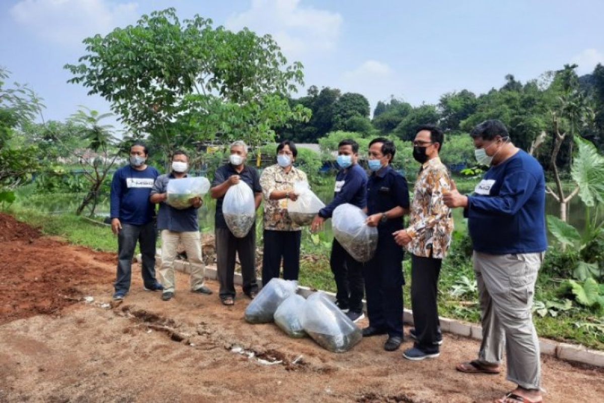 BBI Kota Depok distribusikan 13 ribu bibit ikan konsumsi